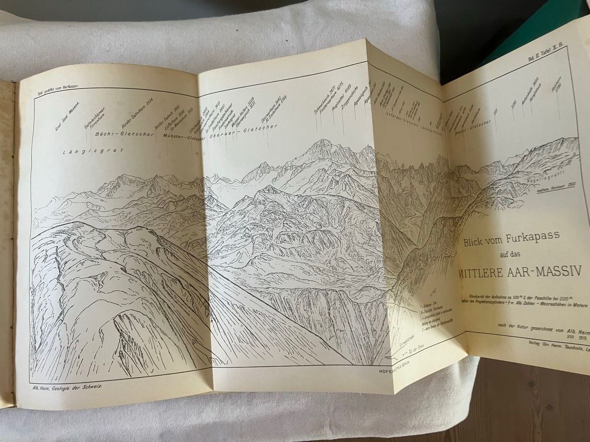 Libri: Albert Heim Geologie der Schweiz – Usato da ZUERICH venduto da Carolus1 6