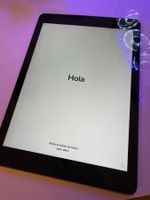Apple iPad Air (1. Gen.) – 32 GB, Wi-Fi, Space Gray