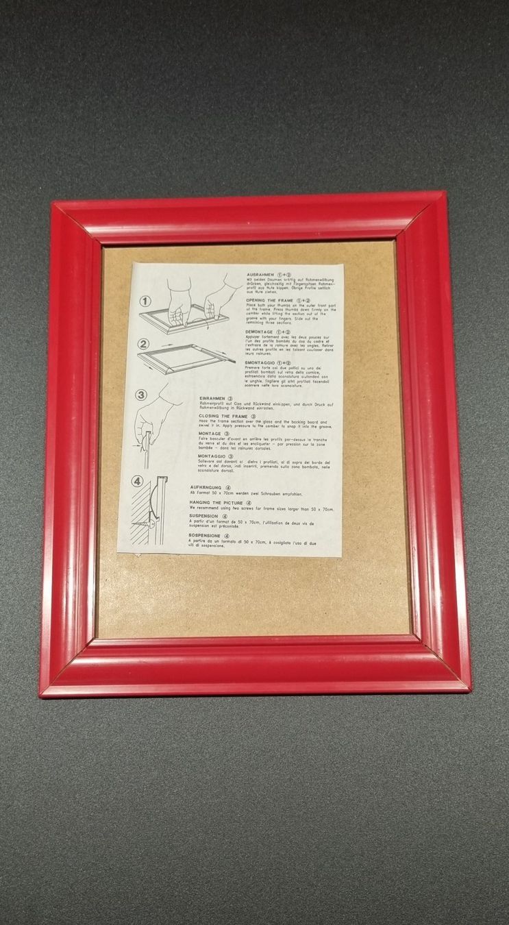 Poster & Bilder: Bild Haubentaucher in Rahmen – Neu (gemäss Beschreibung) aus Lachen SZ von LinDiscount 2