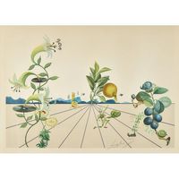 Salvador Dalí (1904-1989) - Farblithografie - "Flordali I"