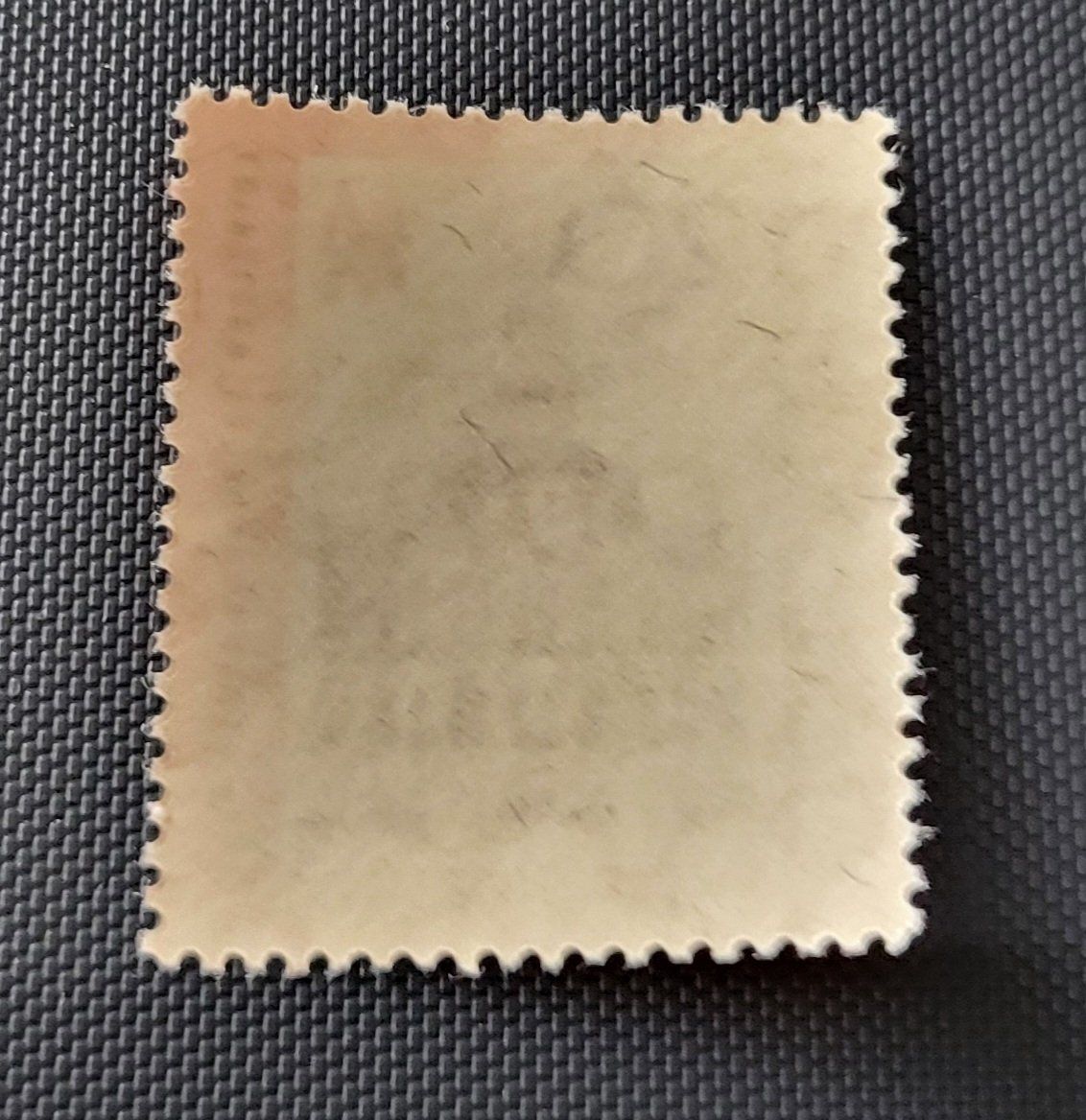 Tutti i francobolli: DDR 1962 briefmarke – Nuovo (secondo la descrizione) da St Gallen venduto da Stampsalshobby 1
