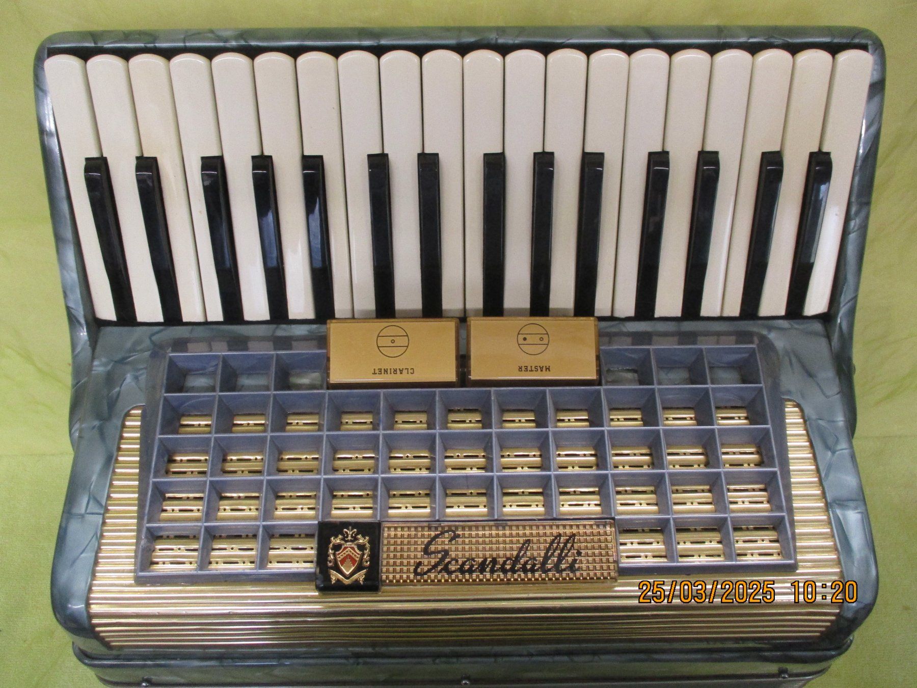 Strumenti musicali: Akkordeon Scandalli – Usato da Jegenstorf venduto da Oktavio 1