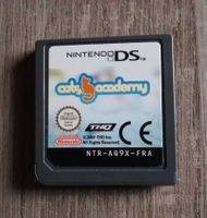 JEUX NINTENDO DS CATS ACADEMY