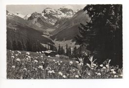 DAVOS Clavadeler-Alp - Blick auf Sertigtal