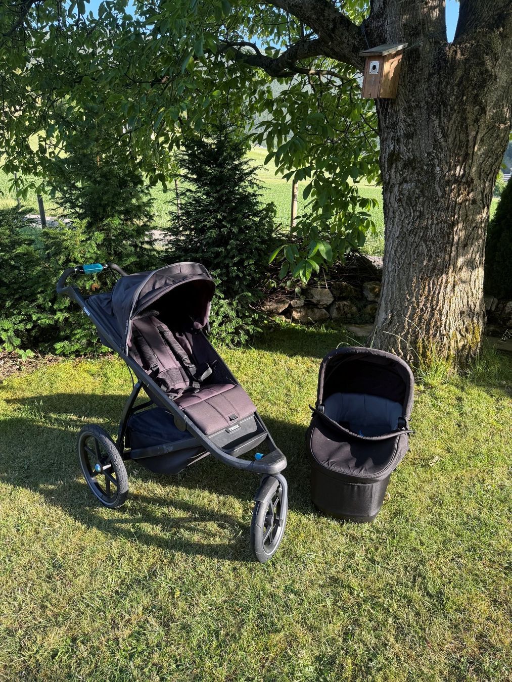 Thule Carrozzine: Thule Urban Glide – Usato da Laupersdorf venduto da andrea-christ