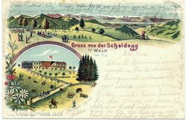 WALD ZH Litho Gruss von der Scheidegg - gel. 1903 n. Uster