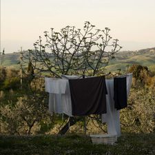 Profile image of Brocki_Aargau-Ost