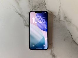iPhone 13 Pro | 100% Akkukapazität | 128GB | Space Gray