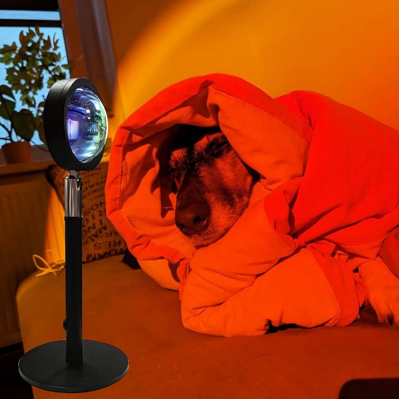 Lampes: Sunset Lamp 4 Colors USB LED Projector – Neuf avec emballage d'origine à St. Gallen par sch_zsz7 3