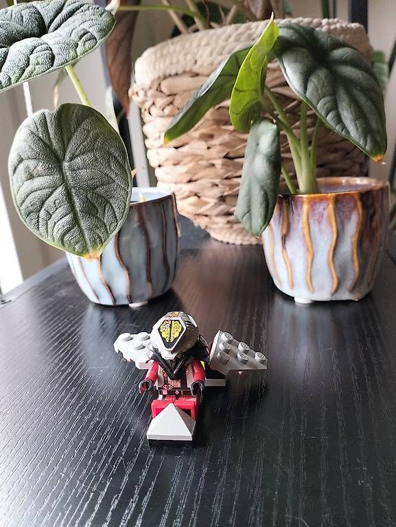 Pflanzen & Samen: Navicella spaziale Lego – Gebraucht aus Locarno von gab_22kt