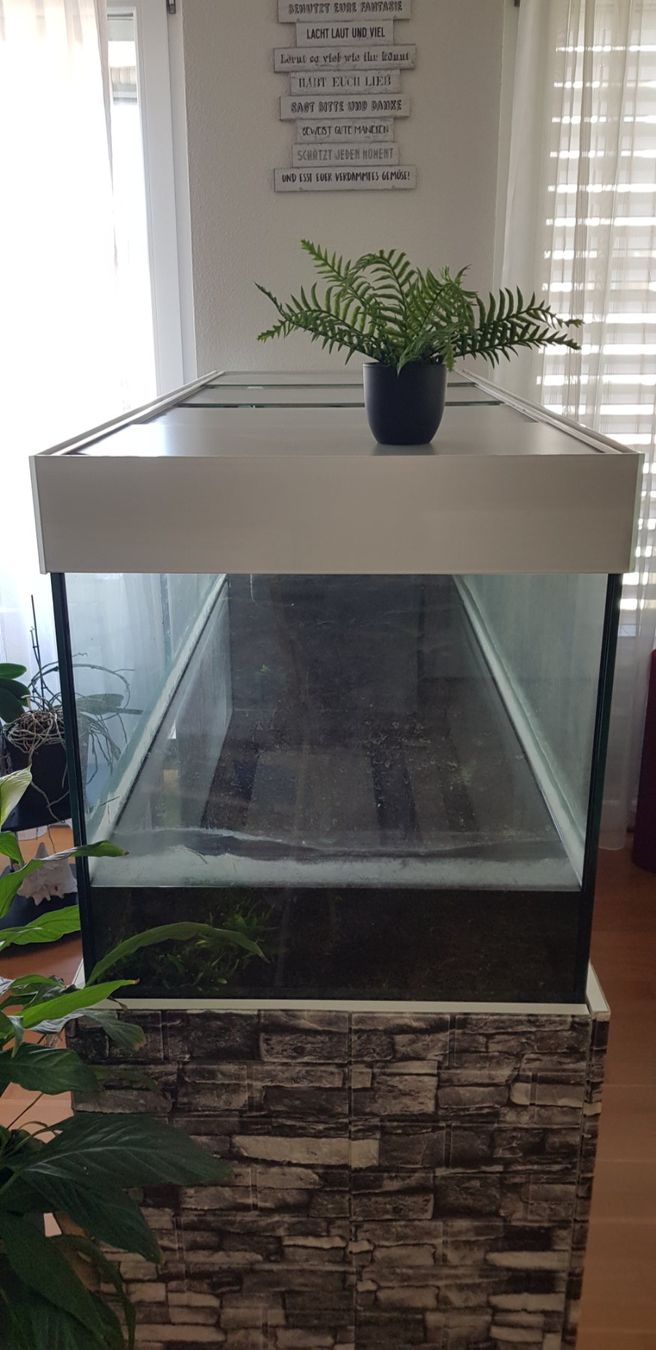 Acquari: Grosses Aquarium 570L – Usato da Müllheim Dorf venduto da Randy026 3