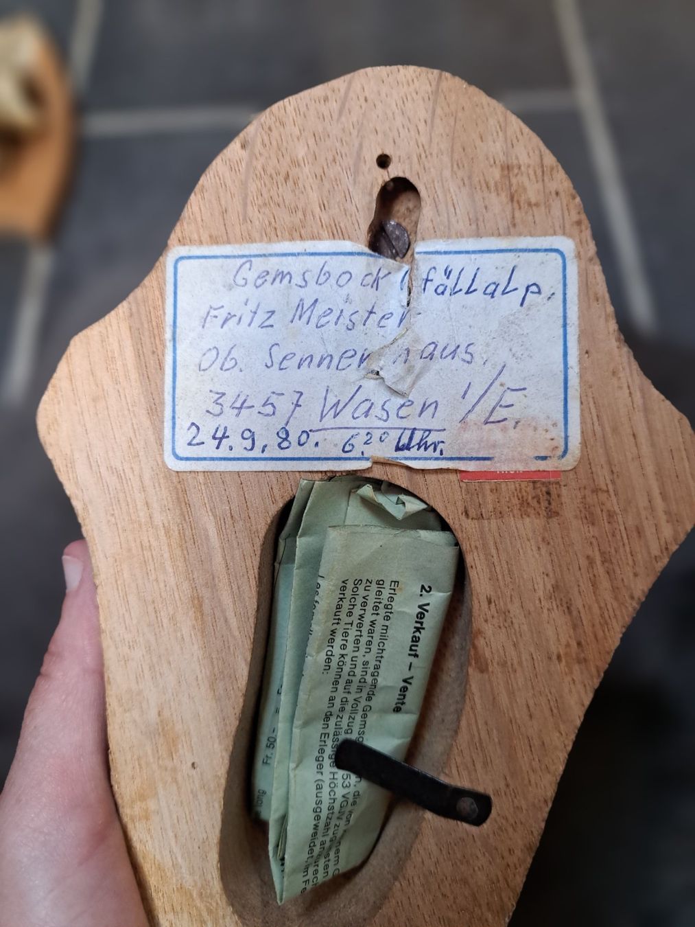 Sonstiges zum Sammeln & Seltenes: Gamsbock Trophäe – Gebraucht aus Obergoldbach von chr_cbp5 2