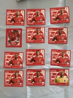 Österreich Topps EM 2024