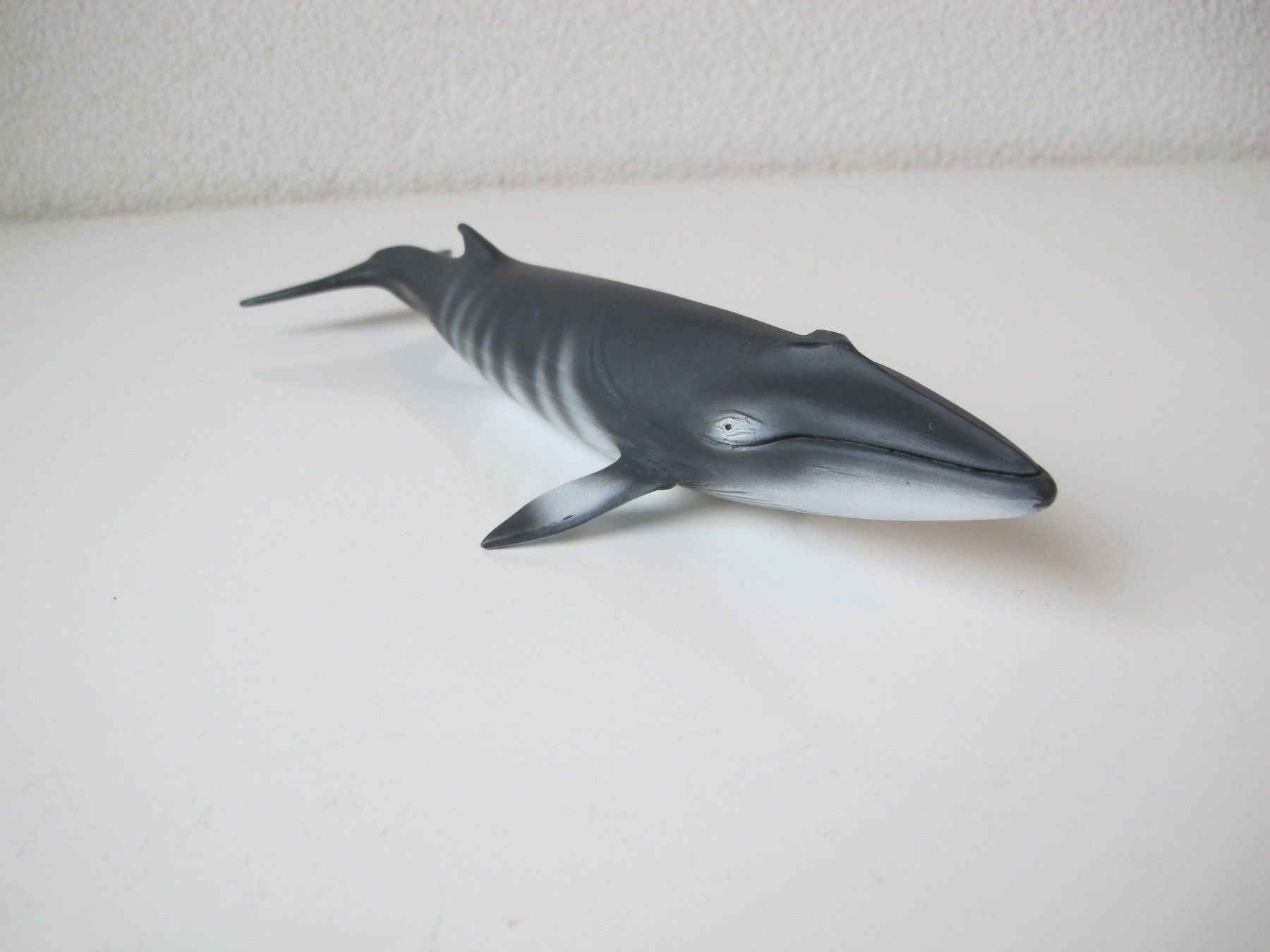 Schleich Figuren: Schleich 16087 Zwergwal Walfisch – Gebraucht aus Vilters von hedi00 2