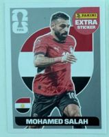 PANINI EXTRA Silber Salah