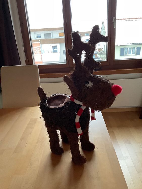 Rudolf das Rentier Kaufen auf Ricardo