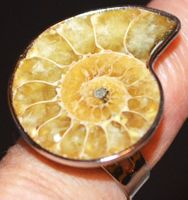 Ring L-6172 – Ammonit Fossil – Grössenverstellbar