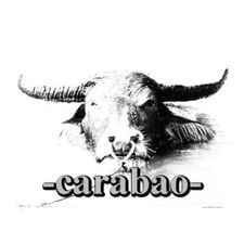 Profile image of -carabao-