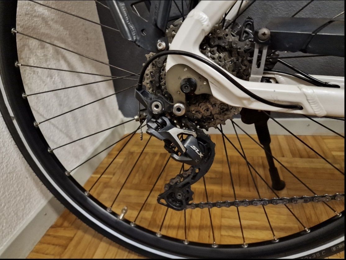 Flyer Biciclette: Flyer E-Bike 45- km/h – Usato da Chur venduto da spicebone 3