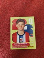 Panini Bild Nor 7
