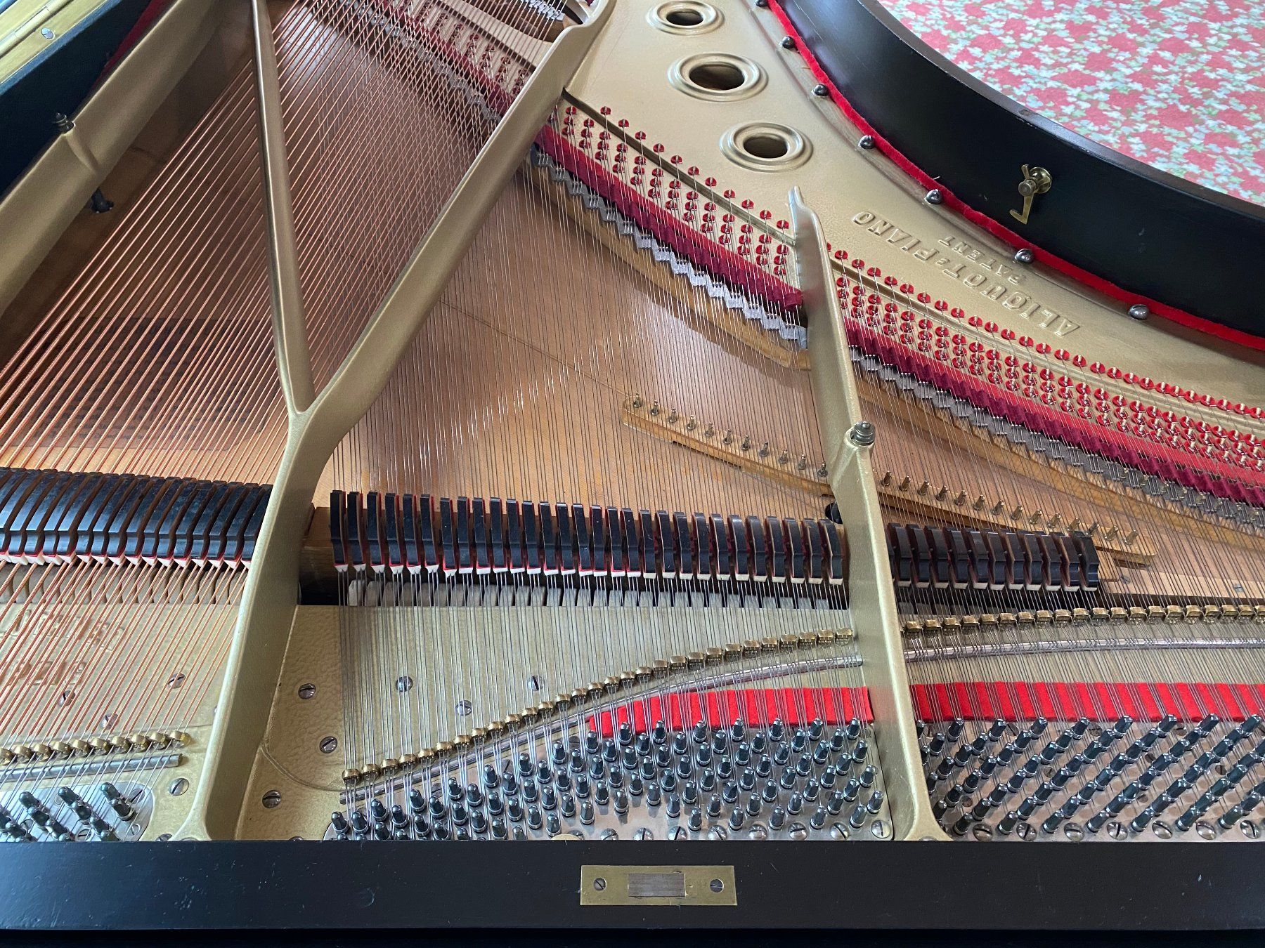 Blüthner Strumenti musicali: Blüthner Flügel mit Aliquot Patent – Usato da Ebnat-Kappel venduto da Lukas33 6