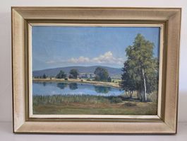 Ölgemälde Katzensee - G. Rosenberger 1960 - Vintage
