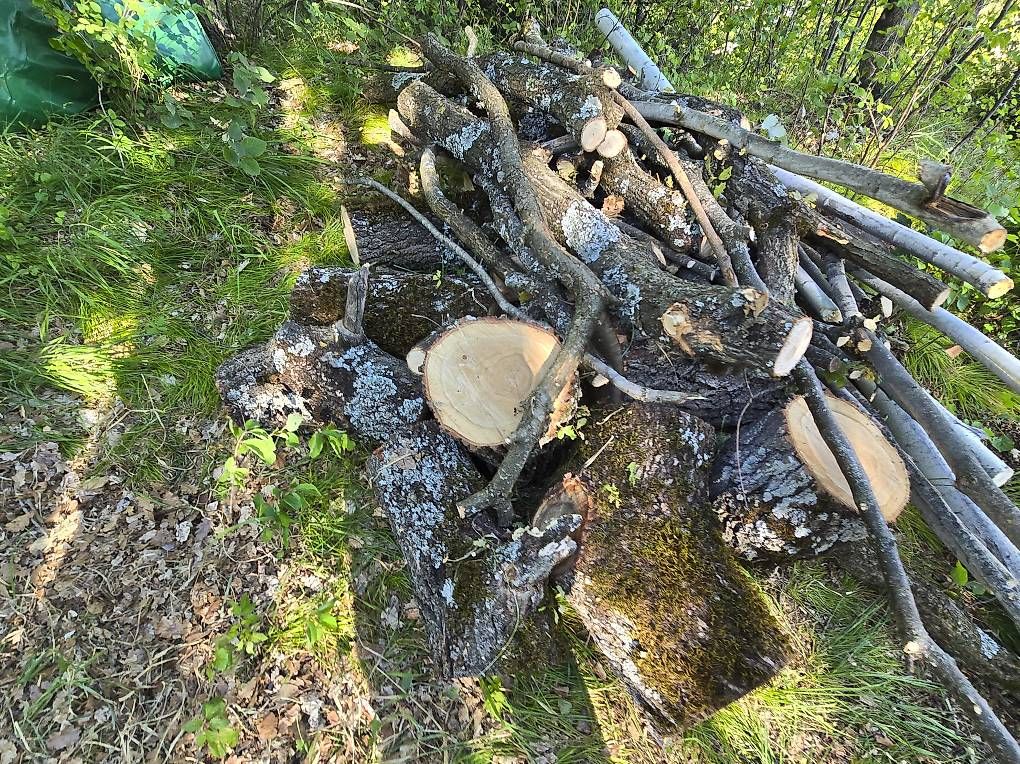 Articoli in legno: Bois de chauffage – Usato da Savièse venduto da Laguinee 2