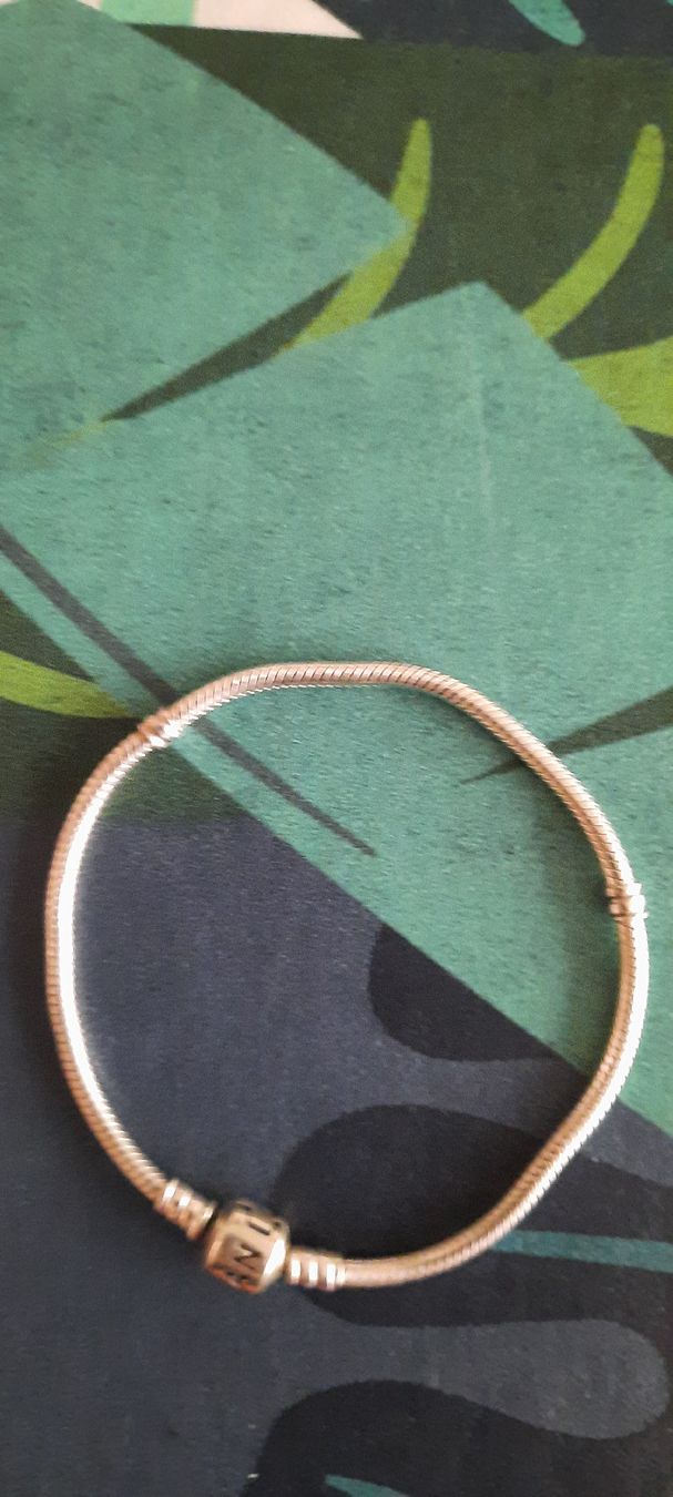 Pandora Bracelets: pandora armband – D'occasion à Wettingen par po250270