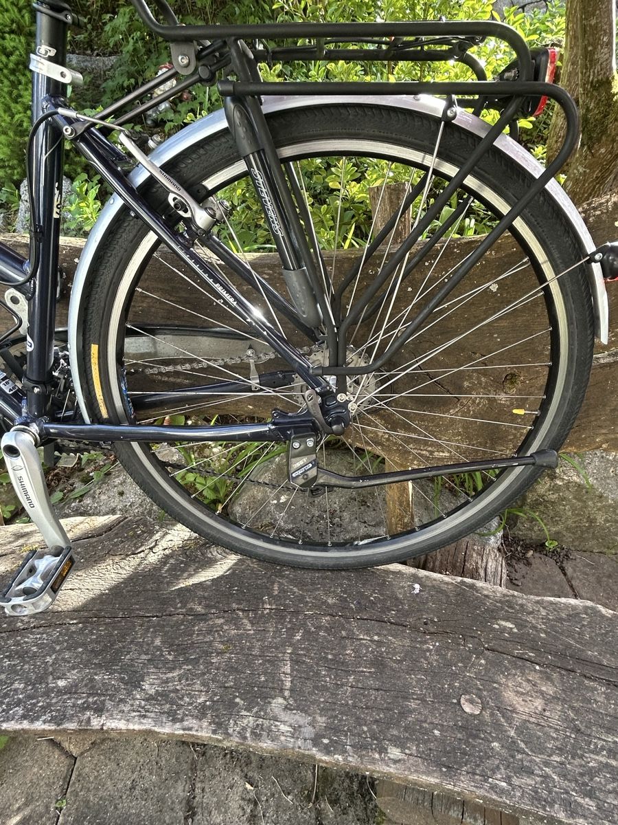 Stevens Biciclette: Damen City Fahrrad STEVENS – Usato da Zufikon venduto da Michu11 3