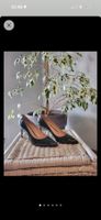Bally neuf 38