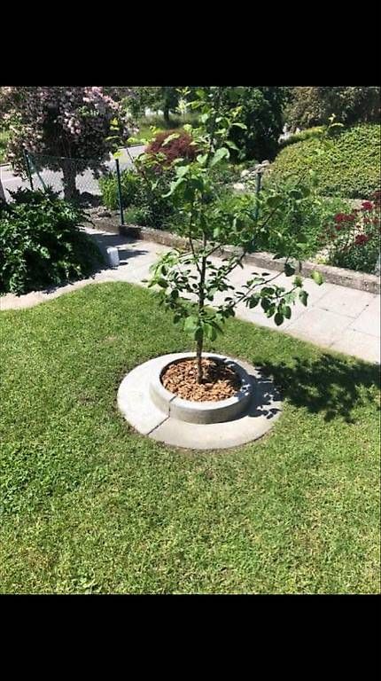 Rivestimenti per pavimenti: Betonelement – Nuovo (secondo la descrizione) da Dagmersellen venduto da gaesi01