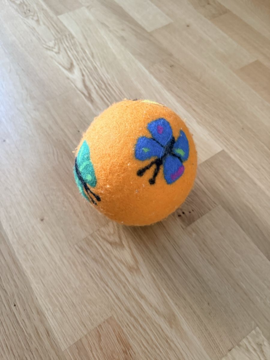 Giocattoli: Ball für die Katze – Nuovo (secondo la descrizione) da Gelterkinden venduto da san_5xd8 1