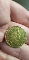 RARE Louis XIV louis aux 4L 1699 Paris