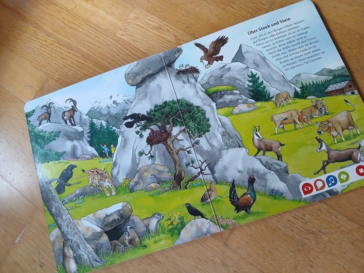 Libri: Tip Toi Buch Bilderlexikon Tiere – Usato da Dübendorf venduto da Fip05 3