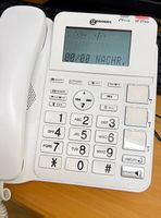 Geemarc Amplidect 295