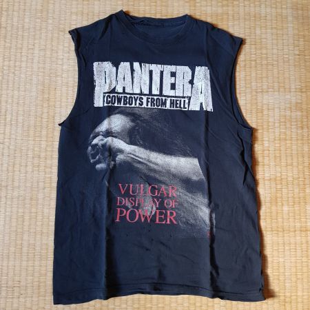 Pantera Vulgar Display of Power vintage T-shirt