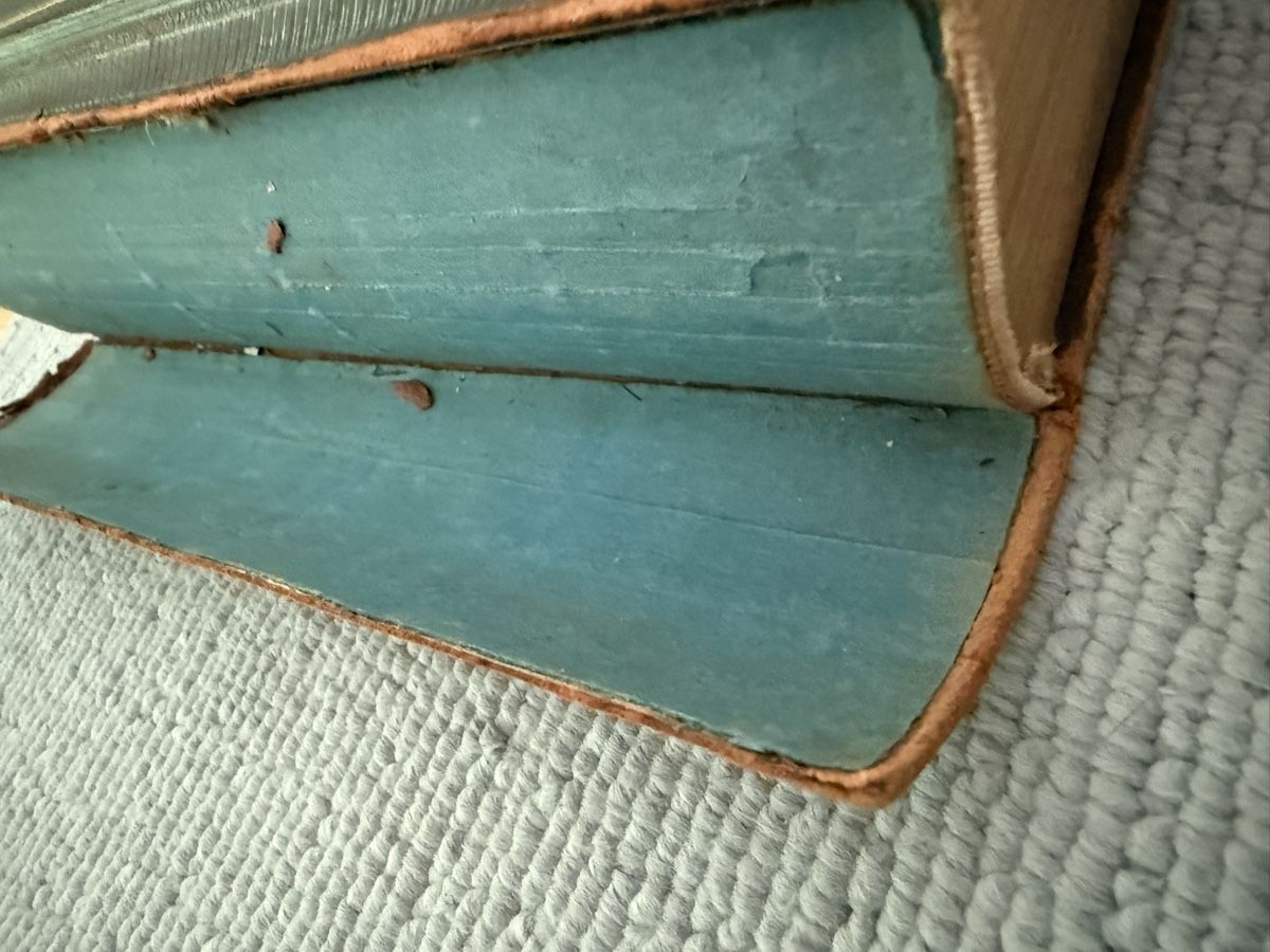 Libri: ////Antike Luther Bibel von 1883 //// – Usato da Birmenstorf AG venduto da Pat_roll 2