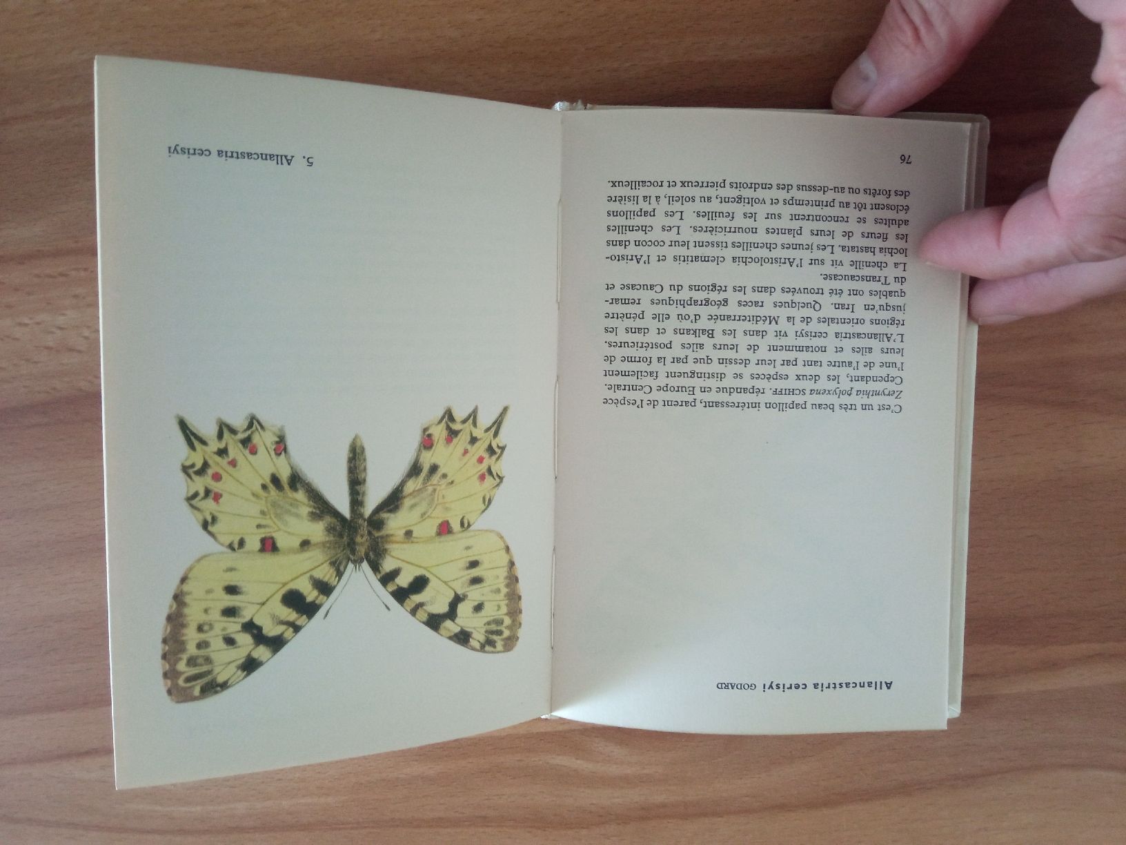 Bücher: lot 3 Livres Papillons  – Gebraucht aus Le Sentier von arc_2thy 5