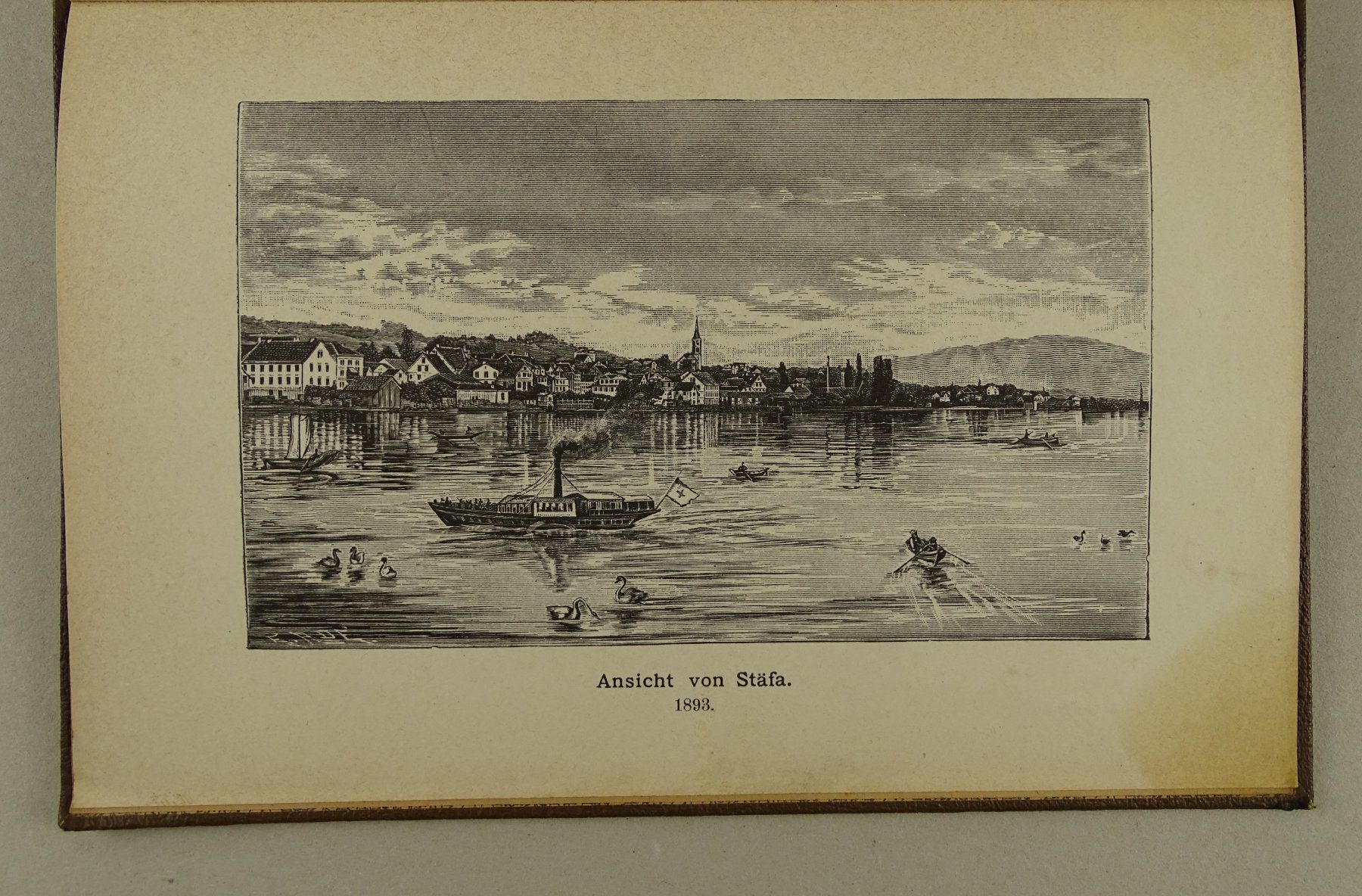 Libri: CHRONIK DER GEMEINDE STÄFA, 1894 – Usato da Grüningen venduto da Kartensammler 2