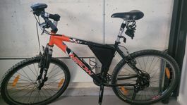 Arrow Mountainbike, Top Zustand!