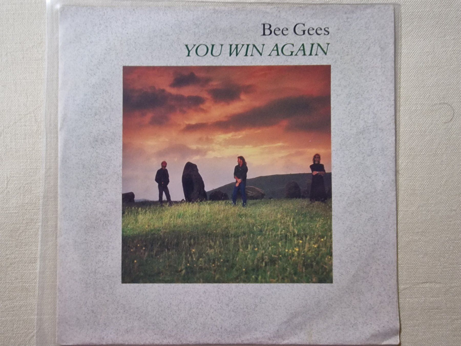 Dischi in vinile: Bee Gees Single – You Win Again – Usato da Root venduto da atelier22