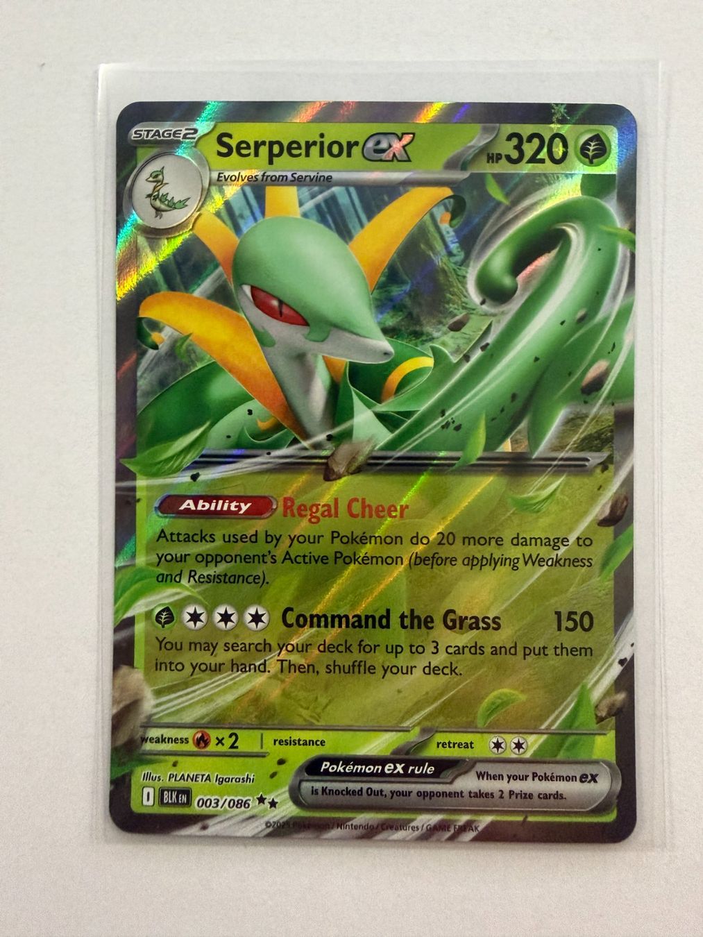 Pokémon Carte collezionabili: Pokemon Serperior EX 003/086 Black Bolt EN – Nuovo (secondo la descrizione) da Weingarten-Kalthäusern venduto da McGmavlo