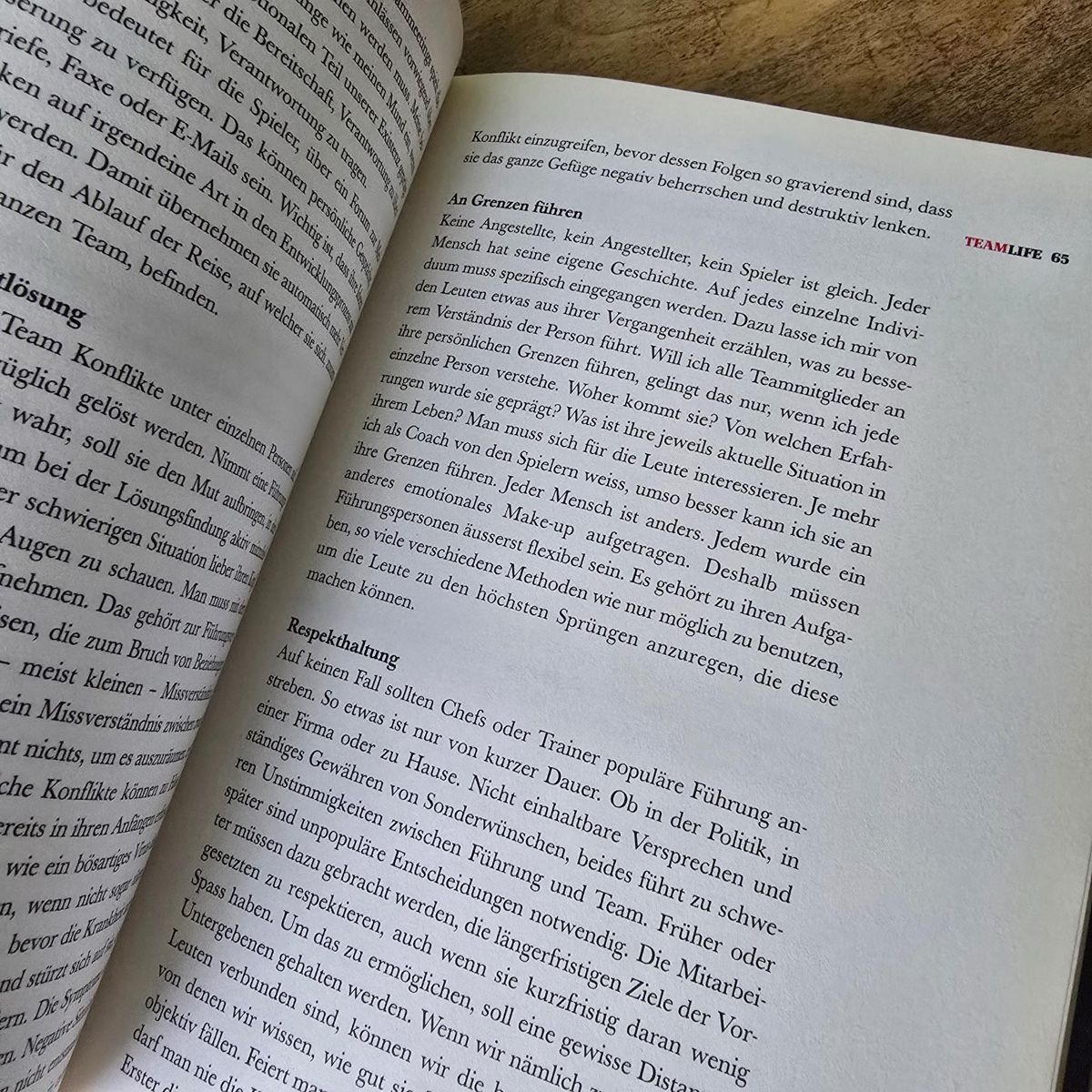 Libri: Teamlife: Ralph Krueger – Usato da Merlischachen venduto da Sheavy 8
