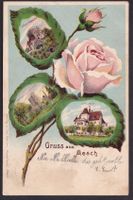 Aesch farbige Lithografie 3 Bilder in Rosenblättern