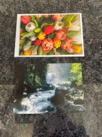 2x Karten & 1x Couvert (ca. 15x10cm), Tulpen Frühling Bach