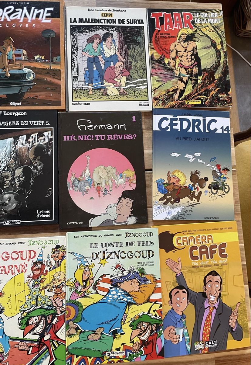 Comics: 21 BD diverses – Gebraucht aus Crissier von Nouchki76 5