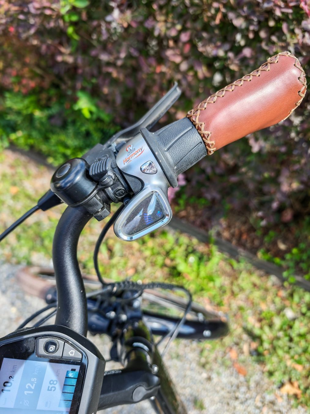 Riese & Müller Velos: e-Bike Riese&Müller, blueLABEL Swing harmony – Gebraucht aus Cham von garom 7