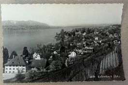 ERLENBACH ZH - Ansichtskarte