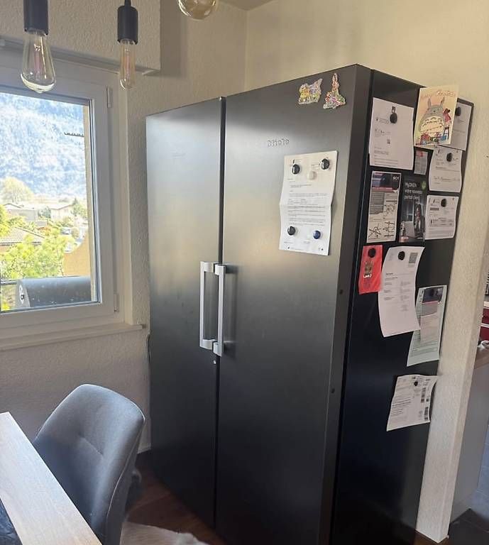 Miele Frigoriferi: Frigidaire et congélateur Miele – Usato da Vétroz venduto da miss04
