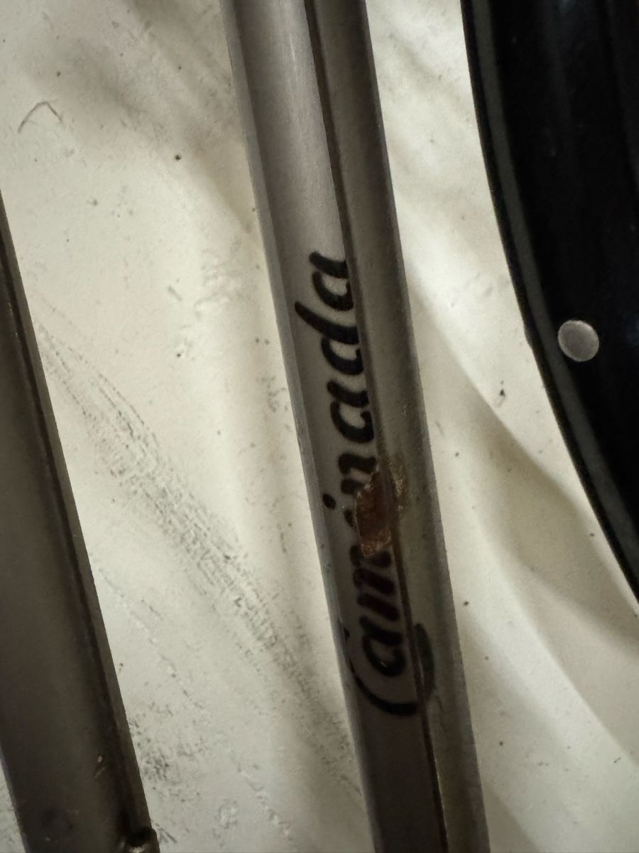 Campagnolo Biciclette: Damen Rennrad/City Velo – Usato da Zürich venduto da Ekaterinek 3